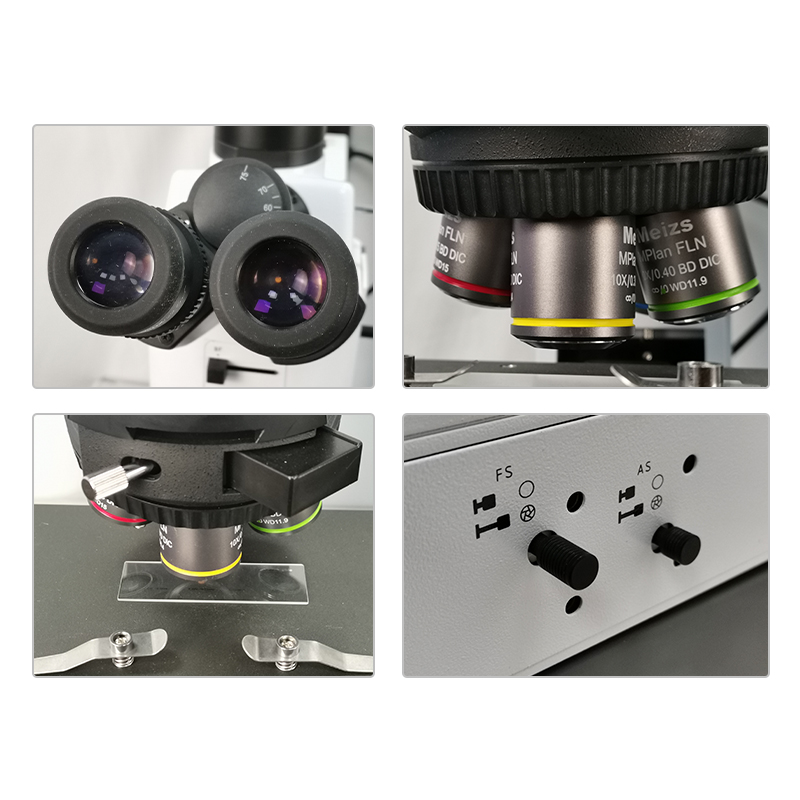 ML9000 Research Level Upprätt mikroskop